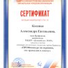 	Участие в семинарах, в мастер-классах, в форумах